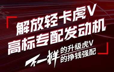 <strong>搭载D30发动机的定制版解放虎V轻卡 你</strong>